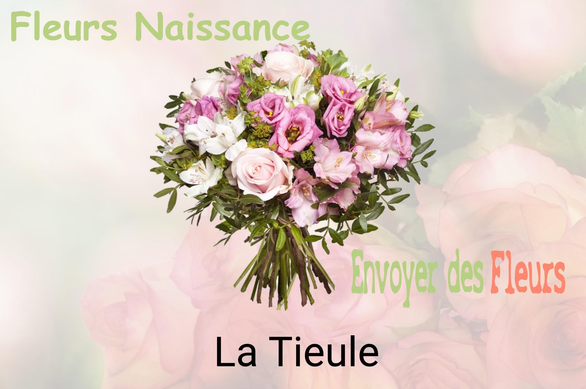 Bouquet de fleurs de naissance livré à La Tieule